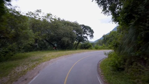Car Mounted Camera in the Yungas, Salta and Jujuy, Argentina Vidéo 102906889