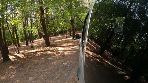 Car moves through forest. reflection of forest in side glass of car. timewarp Stock Footage 154306922