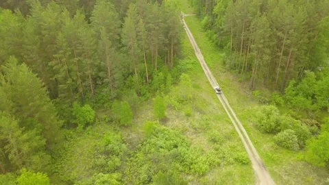 The car moves through a pine forest. Top down view. Video stock 133620745