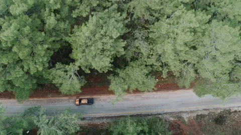 A car moving on an beuity forest road from the Top view Stock Footage 228827827
