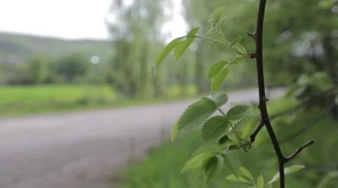 Car Moving By The Earth Road Vidéo 49934130