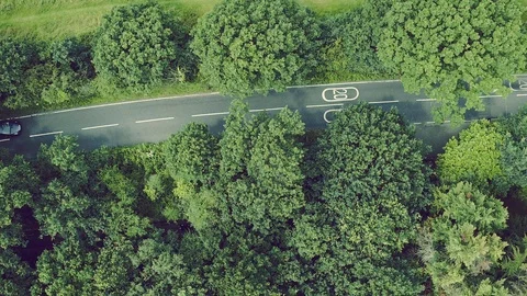 Car moving in forest, above view Stock Footage 88591831