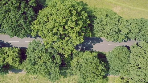 Car moving in forest, above view Stock Footage 88591917