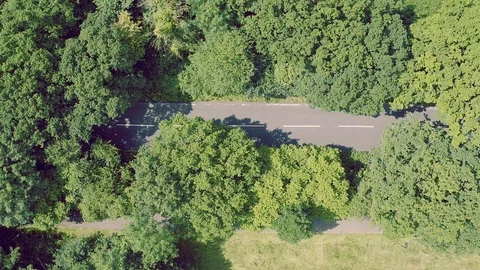 Car moving in forest, above view Stock Footage 88592122