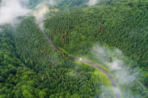 Car moving in forest Stock Photos