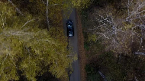 Car moving through the autumn forest Stock Footage 108476451
