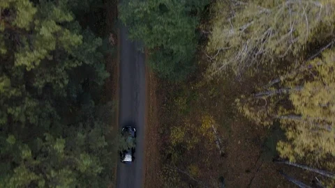 Car moving through the autumn forest Stock Footage 108476790