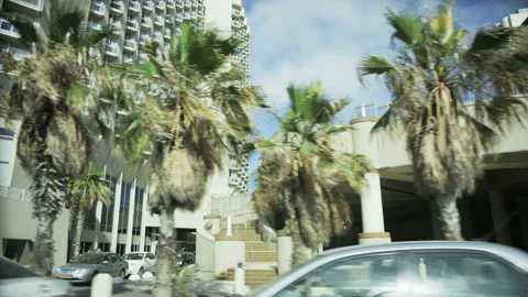 Car Moving Through the City Centre. Palm Trees Stock Footage 88889066