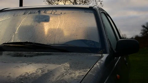 Car in nature, dawn Stock Footage 119173316