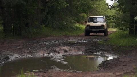 Car offroad in the forest Video stock 75569470