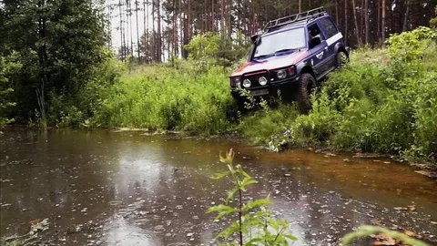 Car offroad in the forest Video stock 75569487