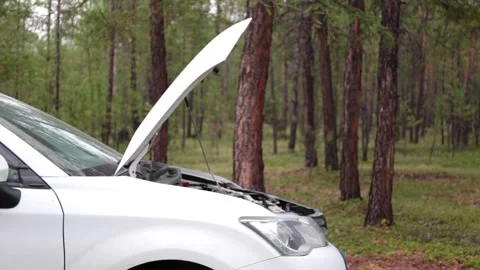 Car with an open hood in the forest Stock Footage 155371238
