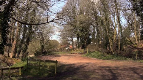 Car park next to forest angling pool Stock Footage 85594814