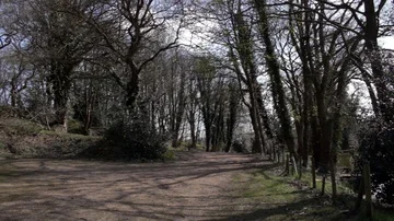 Car park next to forest angling pool Stock Footage 85594874