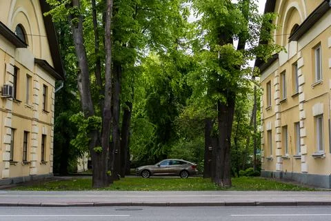 The car is parked between tall trees and old houses Stock Photos