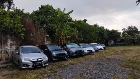 Car parked in front of trees Stock Photos