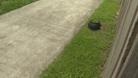 Car parked under a tree outside apartments Stock Footage 84512911