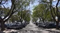 Car parking area below Jacaranda trees in Faro at Algarve, Portugal 4k or 4k+ Resolution