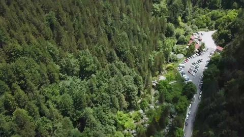 Car Parking in the Mountain Forest Stock Footage 237986632