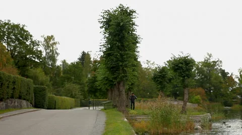 Car passes through Stock Footage 41433422