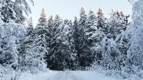 A car passes through an intersection in the winter forest Stock Footage 147723212
