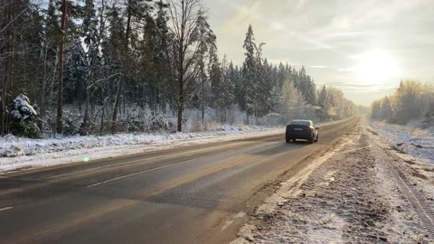 A car passing by against the backdrop of a winter forest. Video stock 233081389