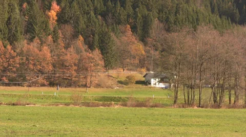 Car passing Stock Footage 22520282