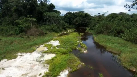 Car passing on a forest bridge Stock Footage 80561163