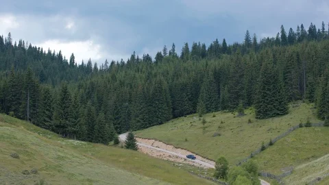Car passing on a forest road Stock Footage 94959384