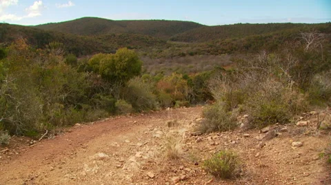 Car passing by grassland Video stock 54591304