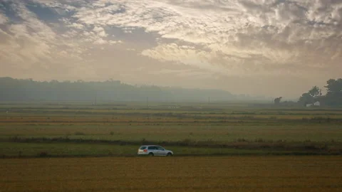 Car passing in green field Stock Footage 230673732