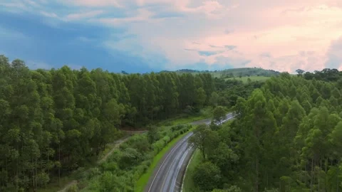 Car passing on hihgway between trees Stock Footage 265049404