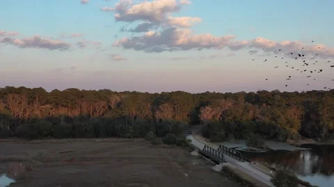 Car passing over a bridge in the forest road Stock Footage 153800832