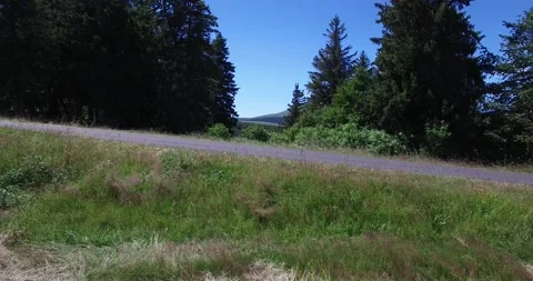 A car passing on a road Video stock 131835065