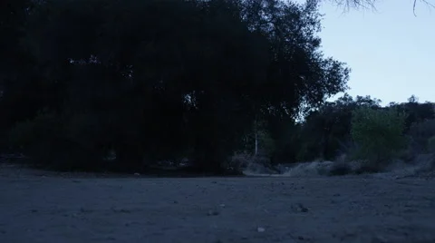 Car passing through a dirt track at dusk 스톡 동영상 67554343