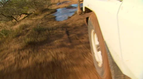Car passing through grassland in ranch Stock Footage 54591218