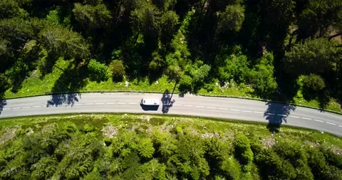 Car passing through green forest aerial view Stock Footage 151322724