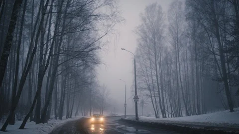 Car passing through with lights in a pine forest in the evening in a fog Stock Footage 88830096