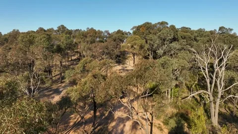 Car passing through the trees in the jungle. Offroad SUV Stock Footage 289296853