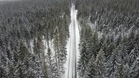 Car passing through winter forest on a snowy road Stock Footage 248251521