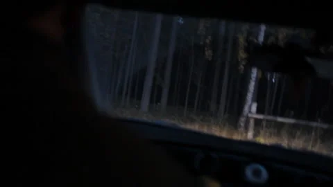 A car with people turned off the highway into the forest. Inside the car Stock Footage 166665608