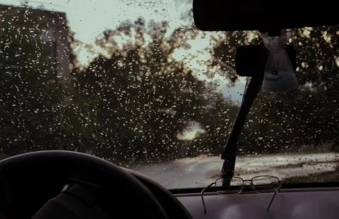 In the car Stock Photos