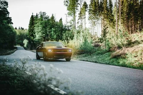 Car Foto stock