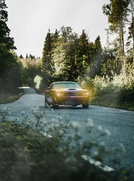 Car Foto stock