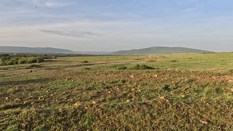 Car Point of View Driving Through Wilderness and Bushes in Kenya Africa Vidéo 335428715