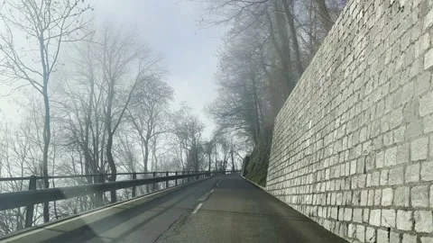Car Point of View on Mountain Road with Bare Tree in the Fog Stockbeeldmateriaal 235428079