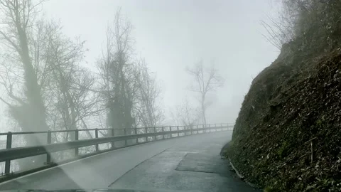 Car Point of View on Mountain Road with Bare Tree in the Fog Stockbeeldmateriaal 236085942