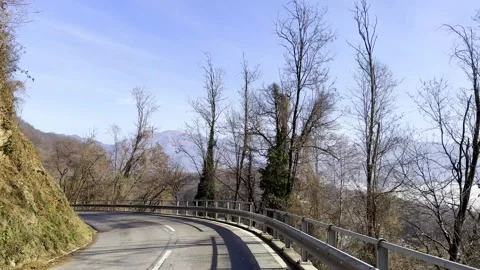 Car Point of View on Mountain Road with Bare Tree in a Sunny Day Stockbeeldmateriaal 236085958