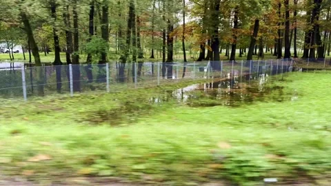 Car Point of View over a Flooding Autumn Forest with Water Pond Stock Footage 265850300