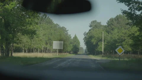 Car POV on tree-lined forest road 스톡 동영상 345717605